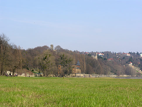 Fotos Elbufer