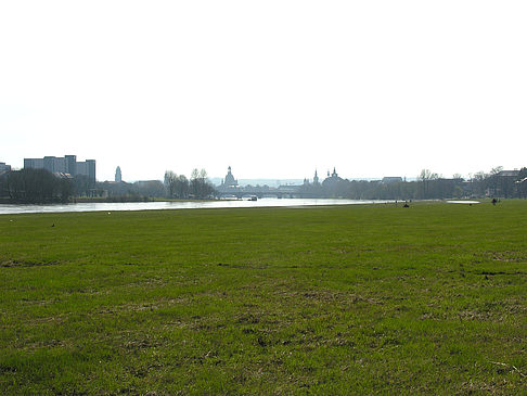 Foto Elbufer - Dresden