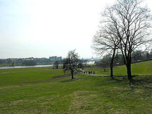 Fotos Elbufer | Dresden