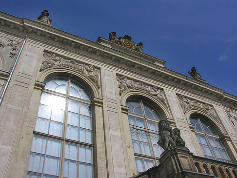 Neumarkt an der Frauenkirche Fotos