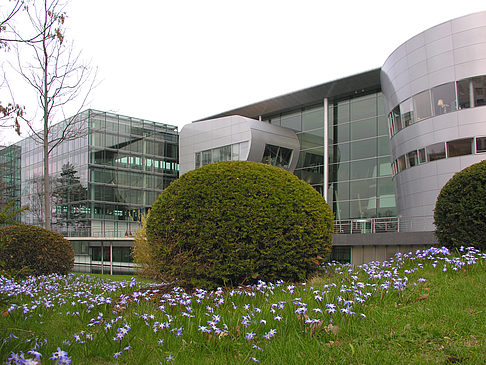 Foto Garten an der Gläsernen Manufaktur - Dresden