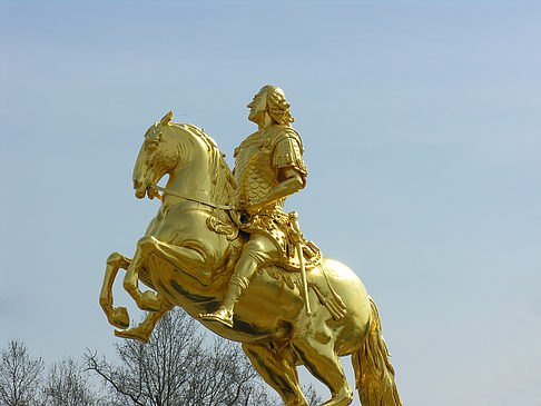 Fotos Goldener Reiter