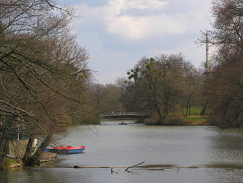 Foto Carolasee im Großen Garten - Dresden
