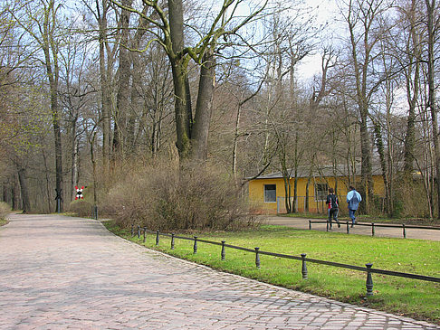 Foto Großer Garten