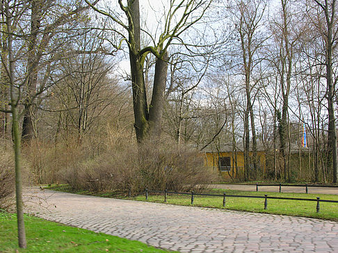 Fotos Großer Garten