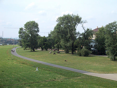 Foto Elbufer - Dresden