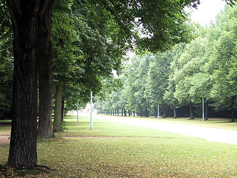 Fotos Großer Garten | Dresden