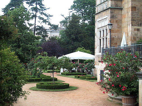Foto Schloss Eckberg - Dresden