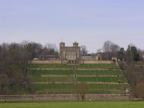 Foto Villa Stockhausen - Dresden