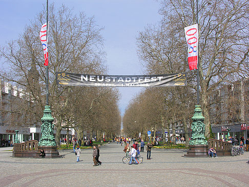 Foto Neustädter Markt