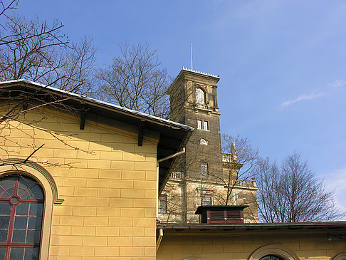 Foto Schloss Albrechtsberg - Dresden
