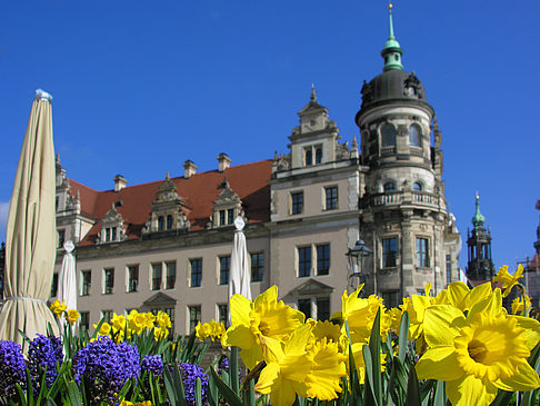 Schloss Foto 