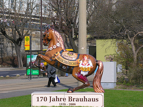 Fotos Societäts-Brauerei-Waldschlösschen