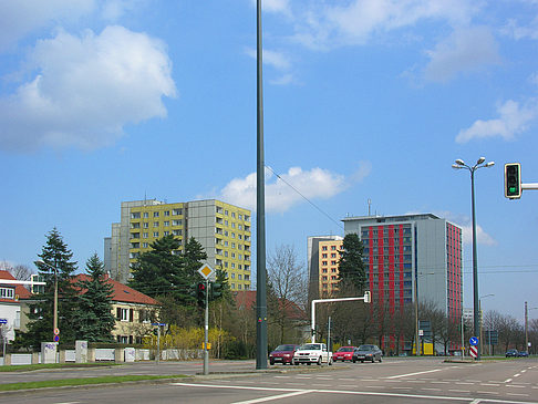 Fotos Verschiedenes | Dresden