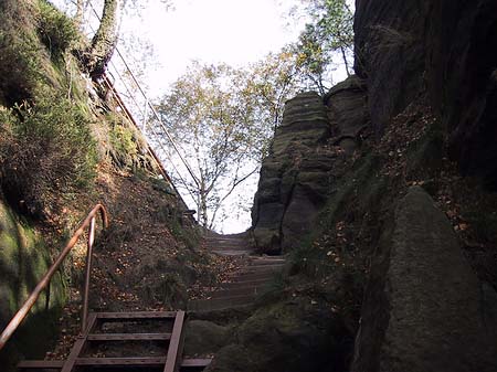 Fotos Wanderwege im Wald