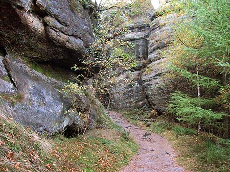 Wanderwege im Wald Fotos