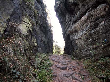 Fotos Wanderwege im Wald | 