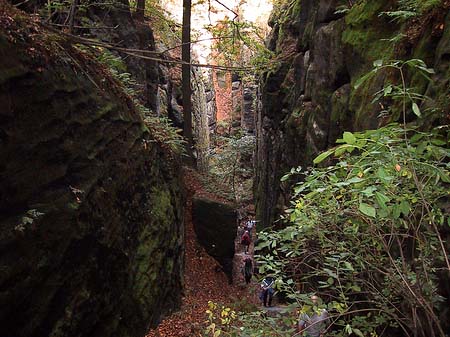 Fotos Wanderwege im Wald | 